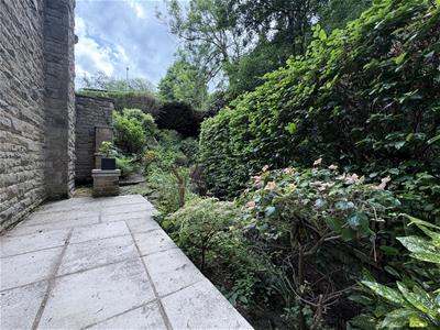 Picture 24